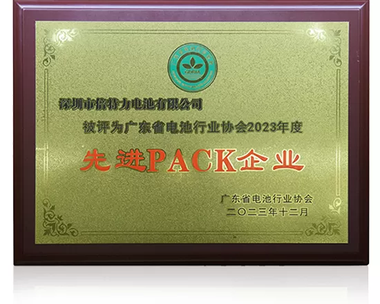 先进PACK企业